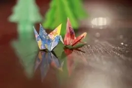 grue origami magicien close up mentaliste
